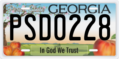 GA license plate PSD0228