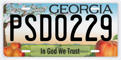 GA license plate PSD0229