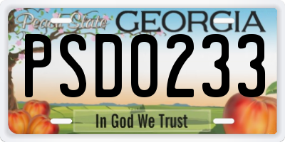 GA license plate PSD0233
