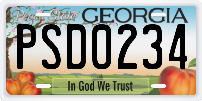 GA license plate PSD0234
