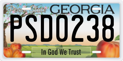GA license plate PSD0238