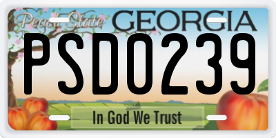 GA license plate PSD0239