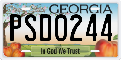 GA license plate PSD0244