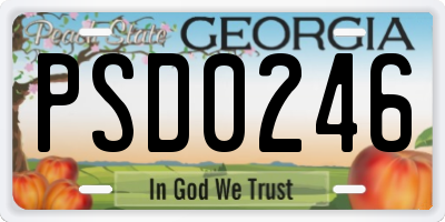 GA license plate PSD0246