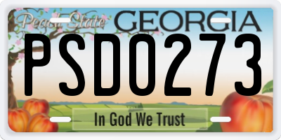 GA license plate PSD0273