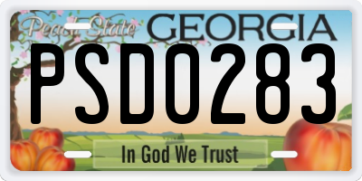 GA license plate PSD0283