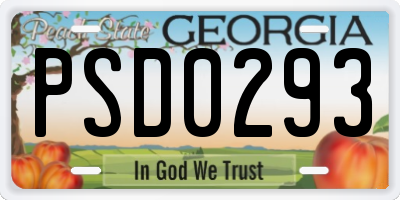 GA license plate PSD0293