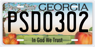 GA license plate PSD0302