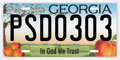 GA license plate PSD0303