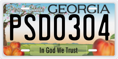 GA license plate PSD0304