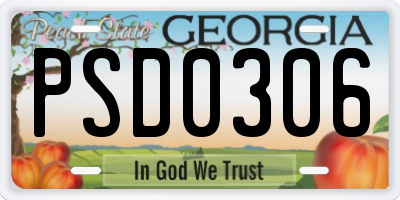 GA license plate PSD0306