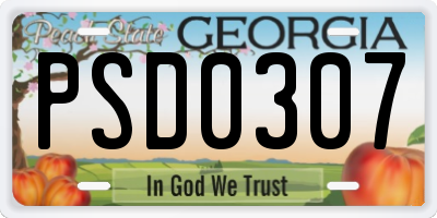 GA license plate PSD0307