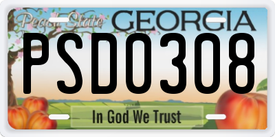 GA license plate PSD0308