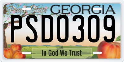 GA license plate PSD0309