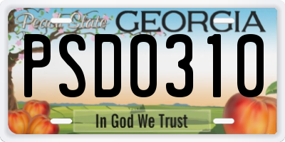 GA license plate PSD0310
