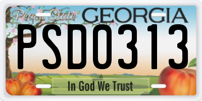 GA license plate PSD0313