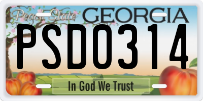 GA license plate PSD0314