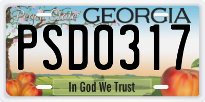 GA license plate PSD0317