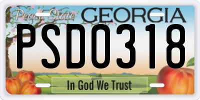 GA license plate PSD0318