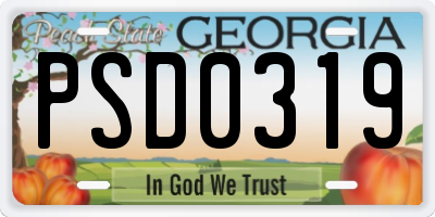 GA license plate PSD0319