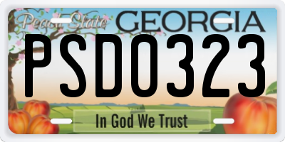 GA license plate PSD0323