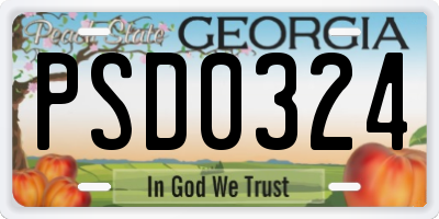 GA license plate PSD0324