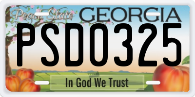 GA license plate PSD0325