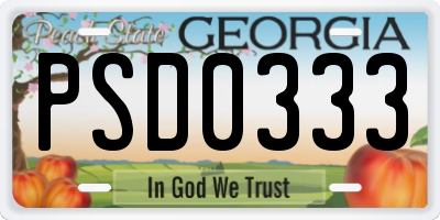 GA license plate PSD0333