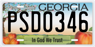 GA license plate PSD0346