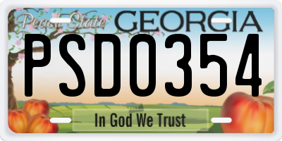 GA license plate PSD0354
