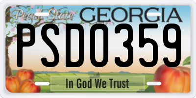 GA license plate PSD0359