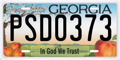 GA license plate PSD0373