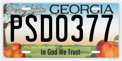 GA license plate PSD0377