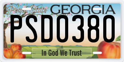 GA license plate PSD0380