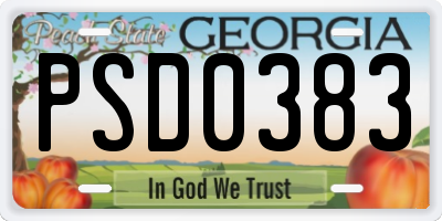 GA license plate PSD0383