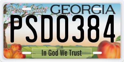 GA license plate PSD0384