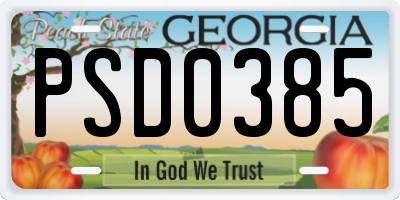 GA license plate PSD0385