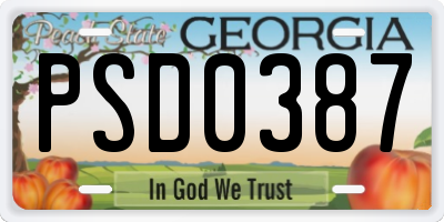 GA license plate PSD0387
