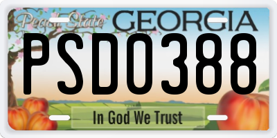 GA license plate PSD0388