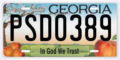GA license plate PSD0389