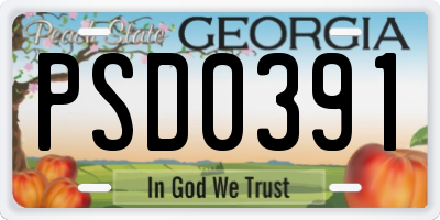 GA license plate PSD0391