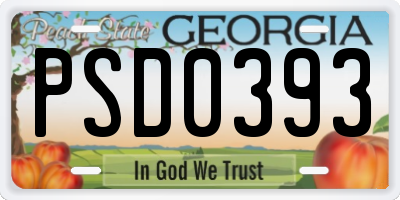 GA license plate PSD0393