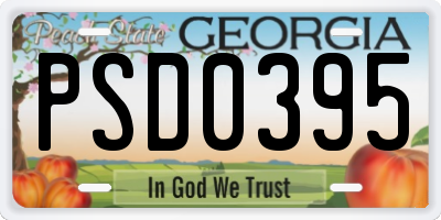 GA license plate PSD0395