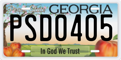 GA license plate PSD0405
