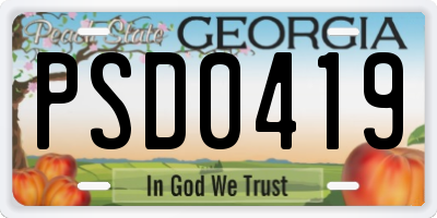 GA license plate PSD0419