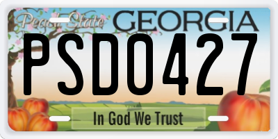 GA license plate PSD0427