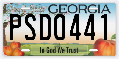 GA license plate PSD0441