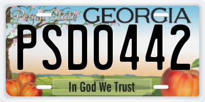 GA license plate PSD0442