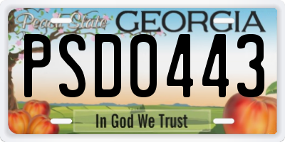 GA license plate PSD0443