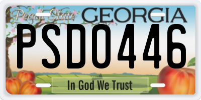 GA license plate PSD0446